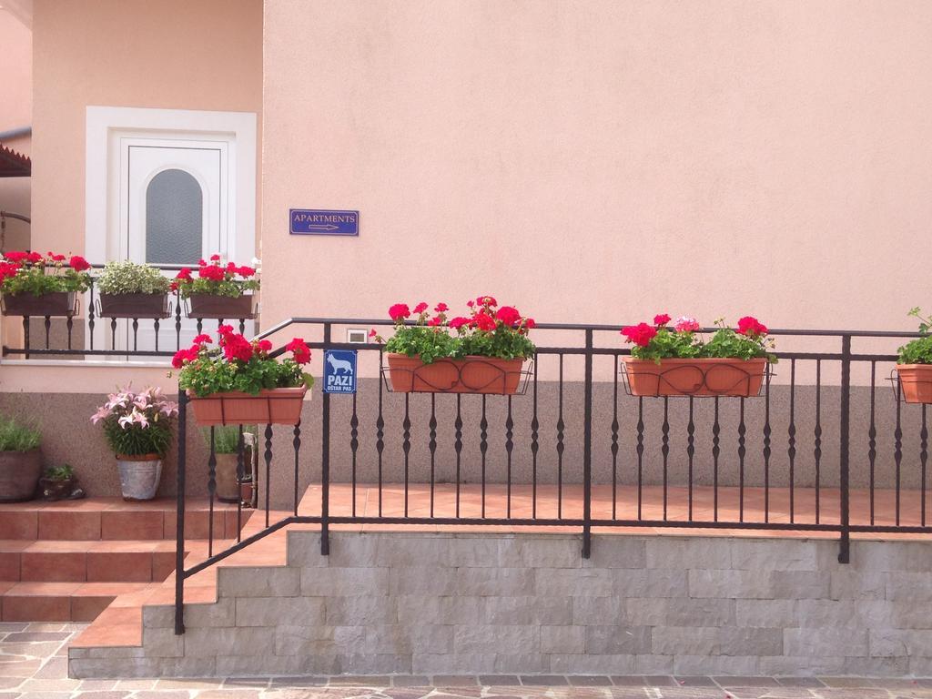 Apartment Vunic